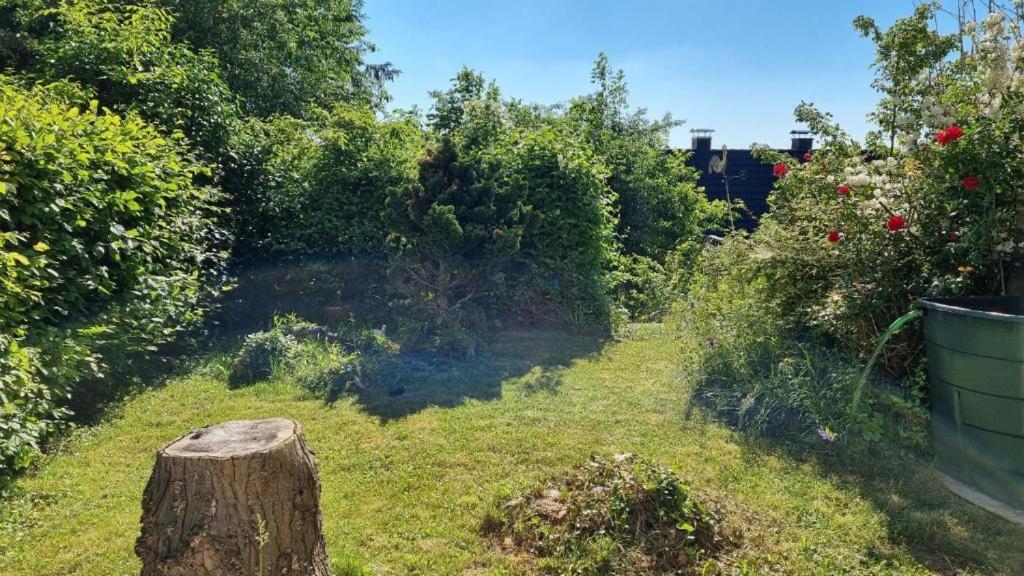 Appartement Zum Entspannen Wartenberg  Exteriör bild